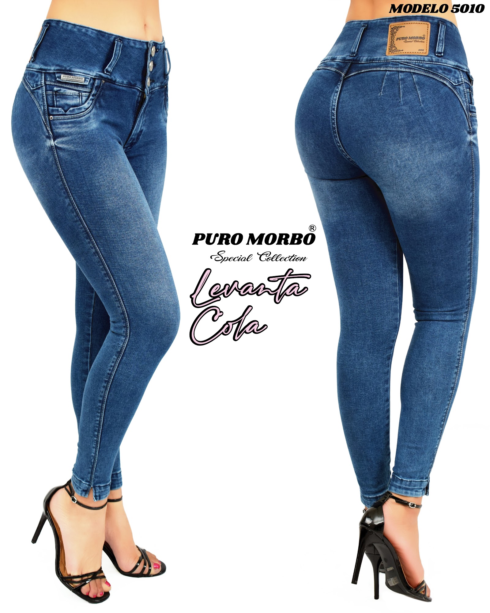 Modelo 5010