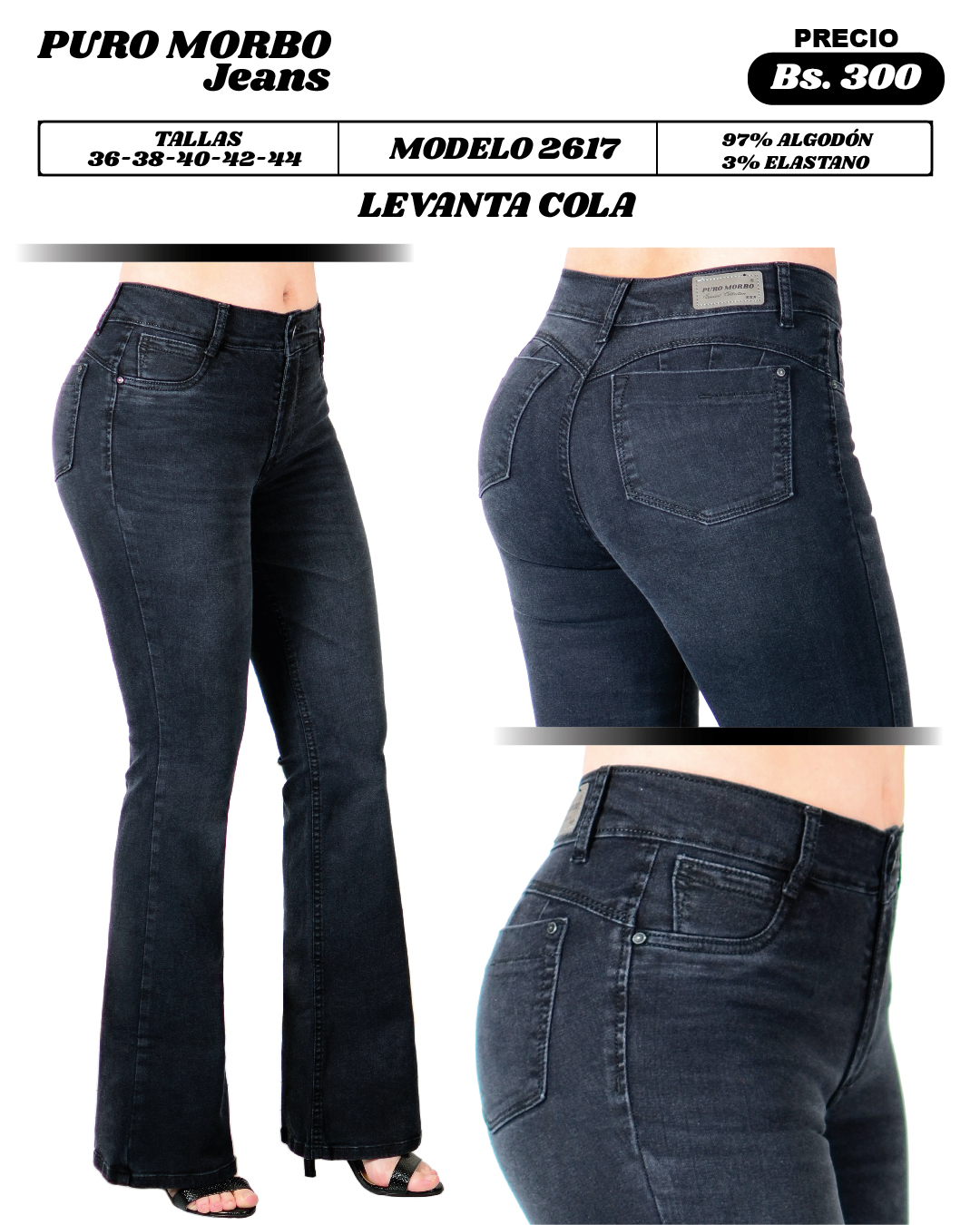 Modelo 2617