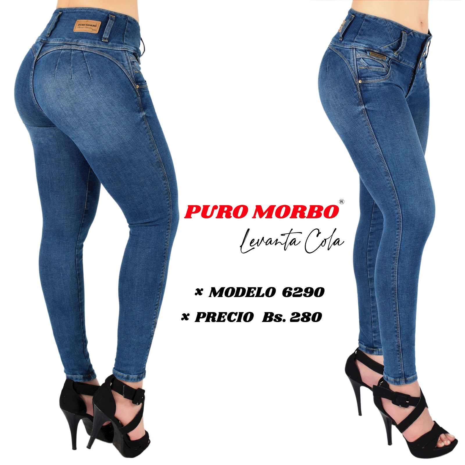 Modelo 6290