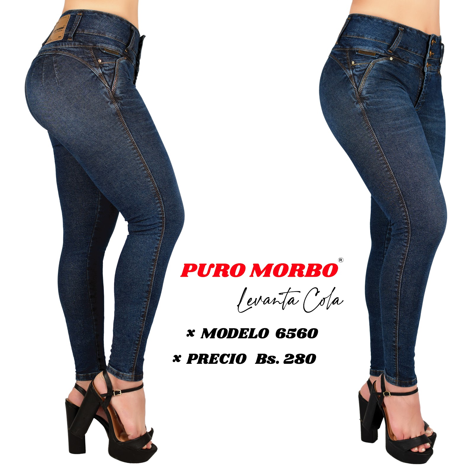 Modelo 6560