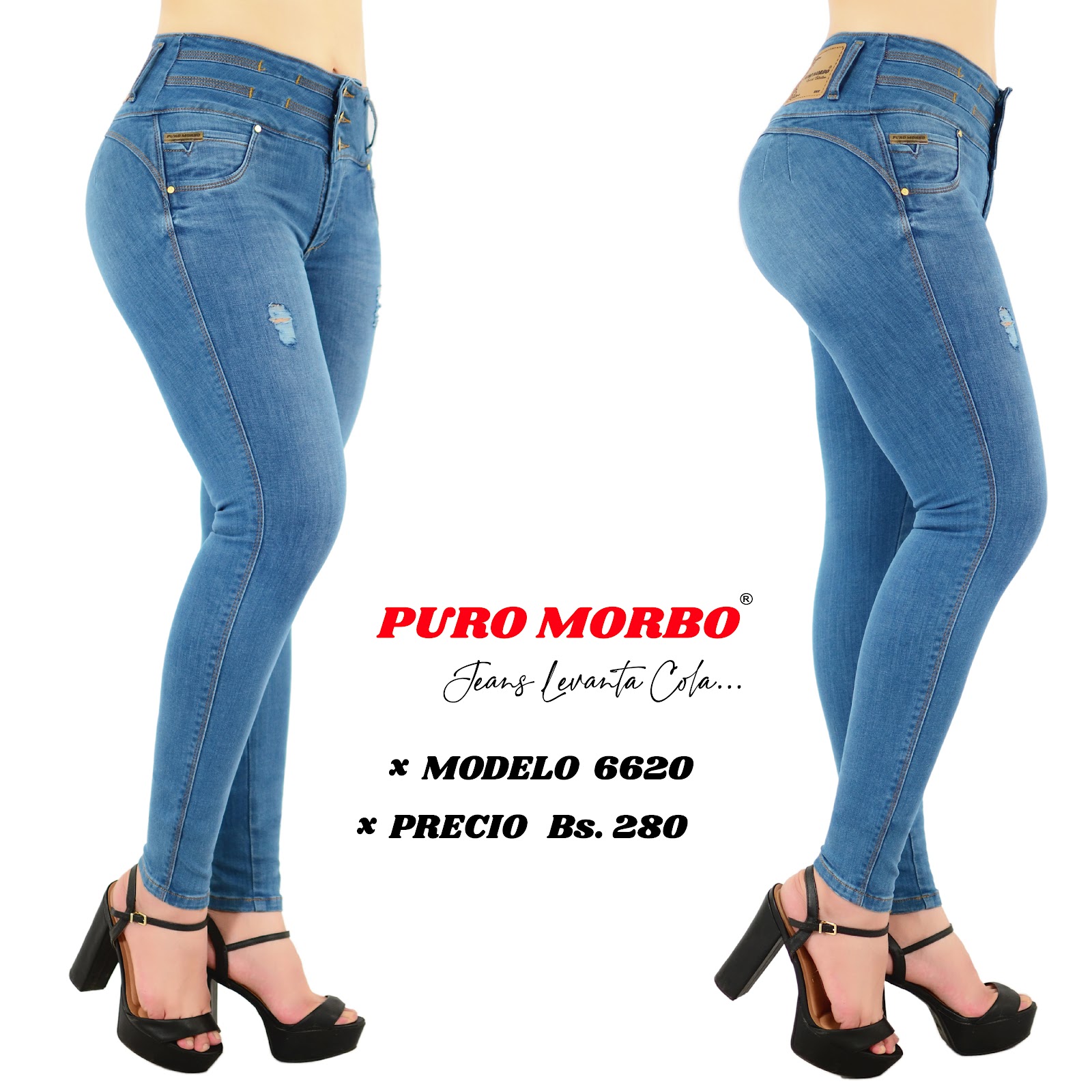 Modelo 6620