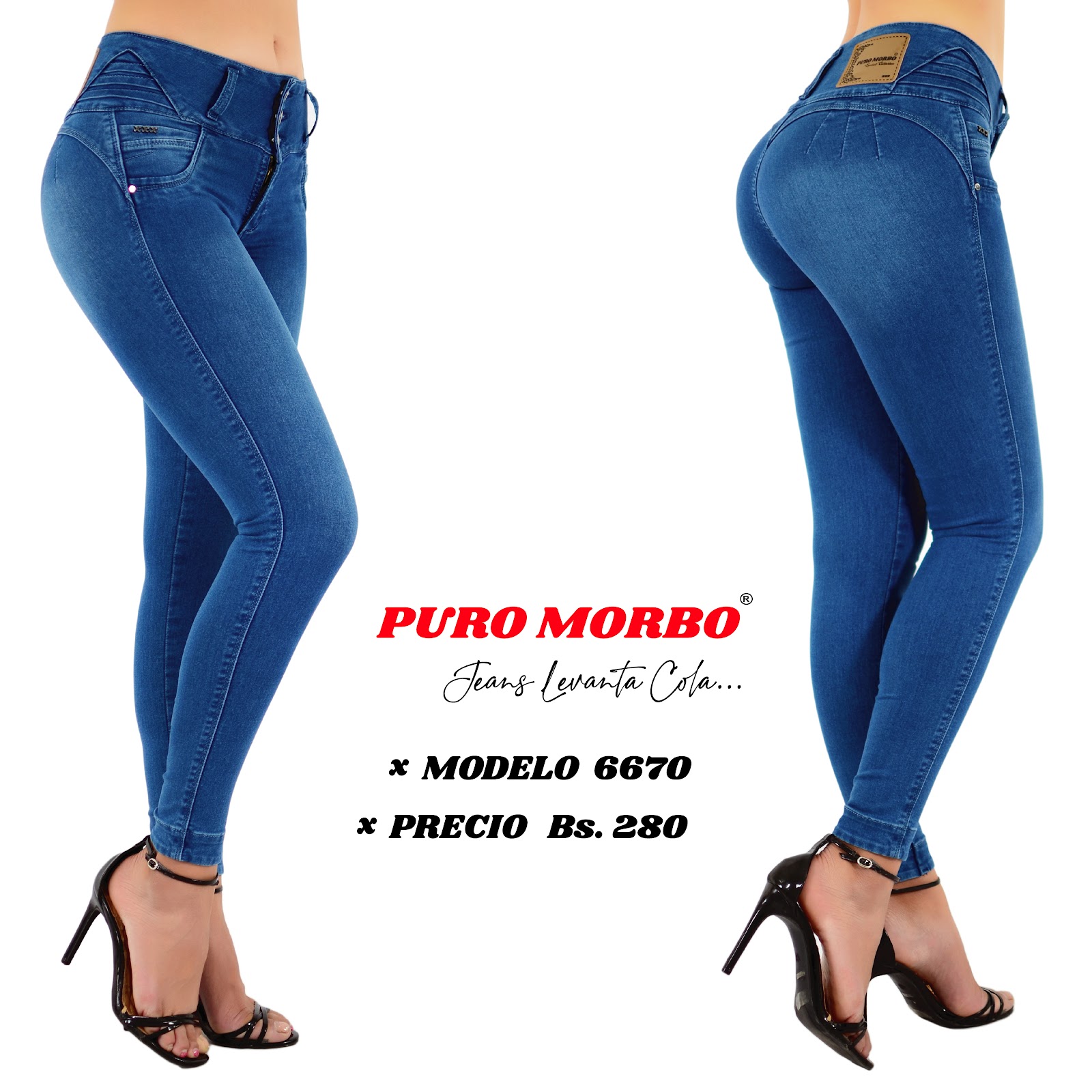 Modelo 6670