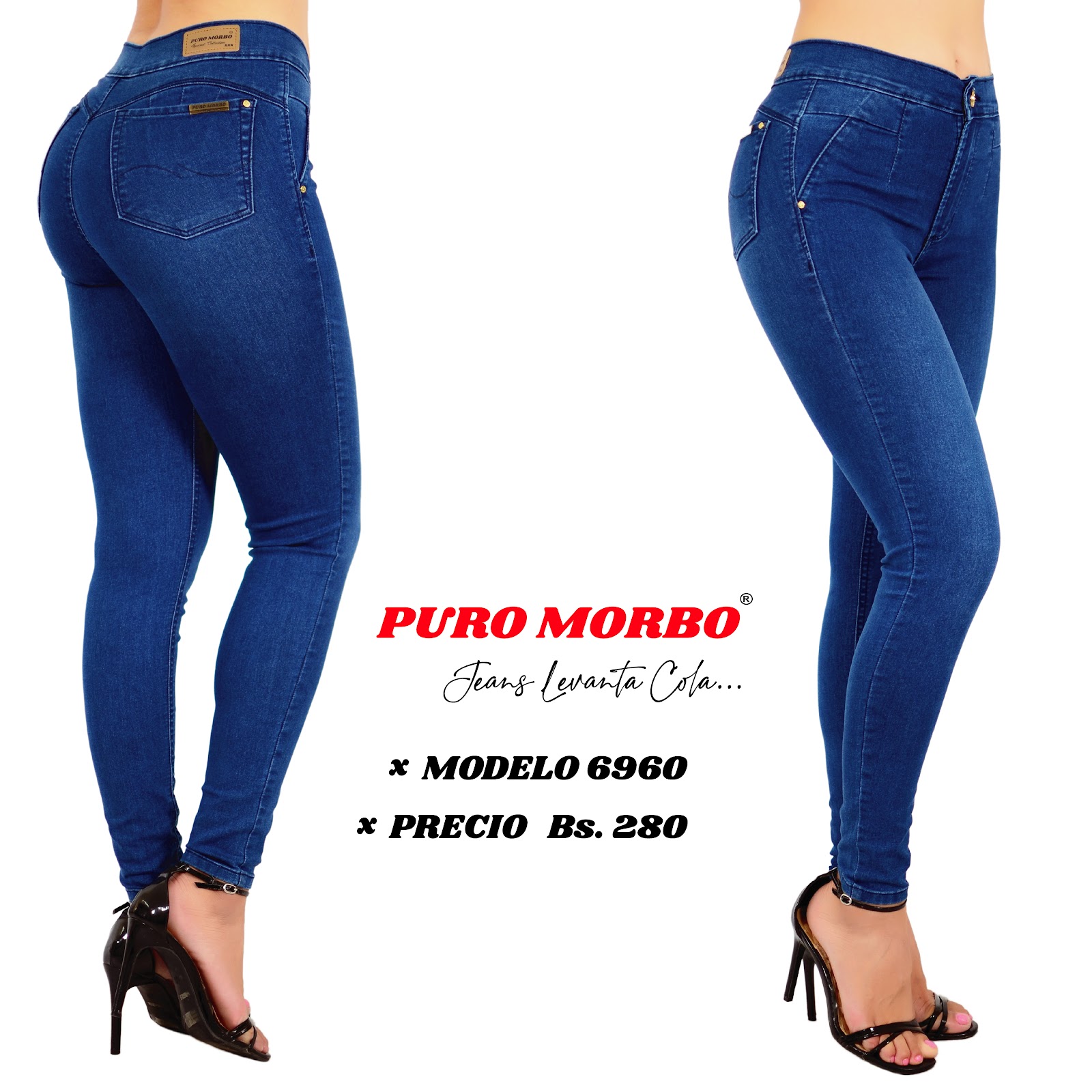 Modelo 6960